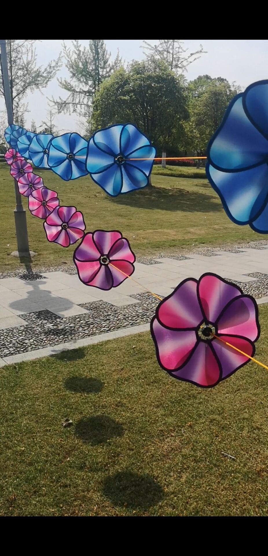 QQ图片20200411110333