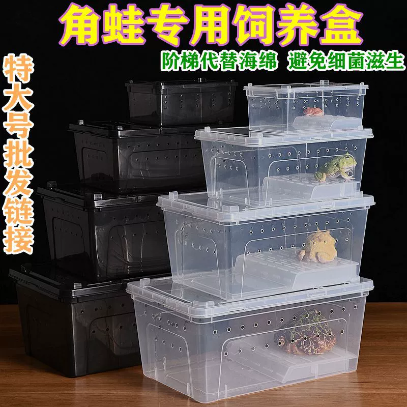 Ящик для кормления рогатой лягушки специальный ящик для кормления амфибии крабов ящик для кормления черепахи из пояса многоножки скорпиона альпинистский ящик для кормления домашних животных
