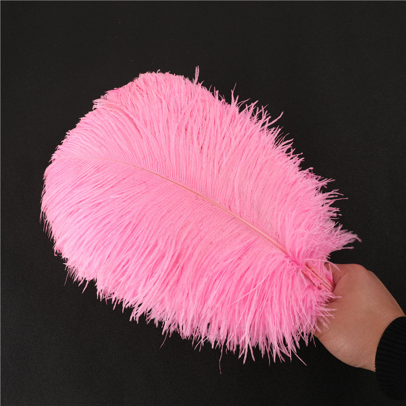 复制_批发鸵鸟毛50-80cm普通羽毛 婚庆插.jpg