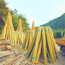 （量大價低）供應各類竹竿各種規格都可定早園竹蔬菜大棚撐桿