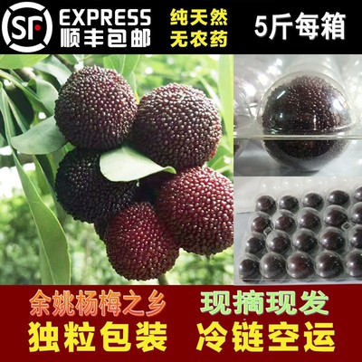 浙江正宗慈溪余姚杨梅新鲜水果现摘现发孕妇小孩顺丰精品5斤 包邮|ms