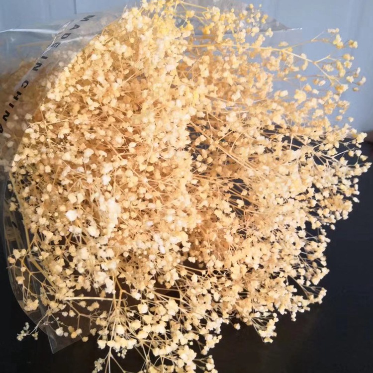 微信图片_20200128224708