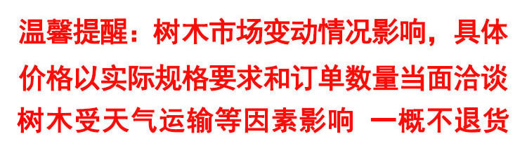 树木