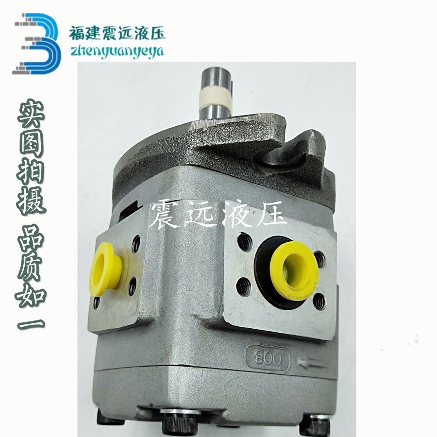 进口日本不二越NACHI油泵IPH-2B-6.5-11齿轮泵IPH-2B-8-11液压泵