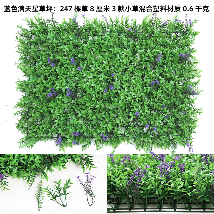 IMG_029 副本 拷贝 副本