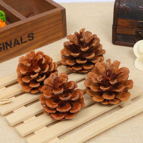厂家批发仿真松果干花干果植物材料创意装饰摆件圣诞松果油松