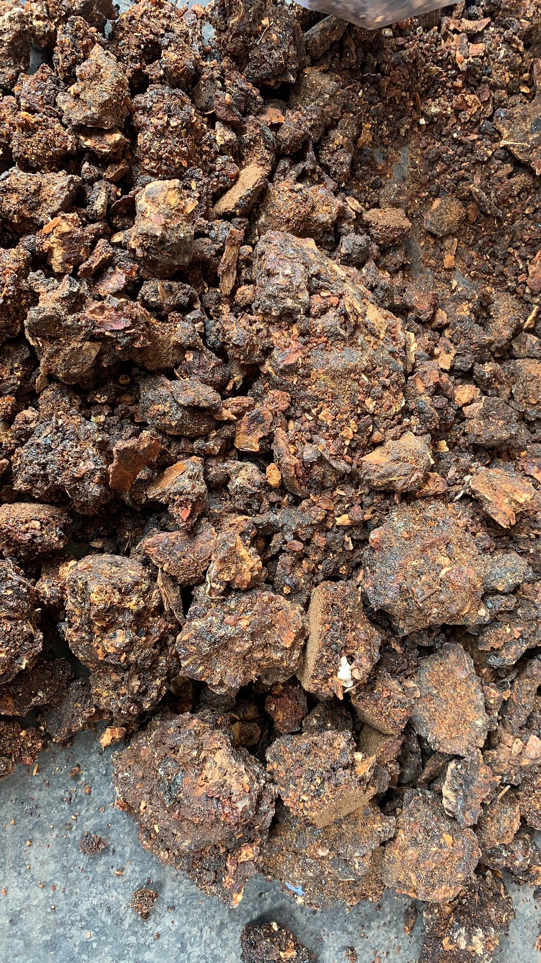 Myrrh Resin Mo Yao 500g Dried Commiphora Botanical for Traditional Herbal Use in use