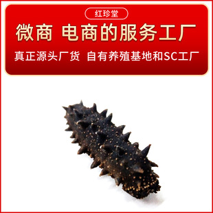 DALIAN PURE DRY SEA CUCUMER DRIE GOOWS Оптовые DALINE Specialty Non -Gift Box Dry Production Liaoshen Aquatic Product