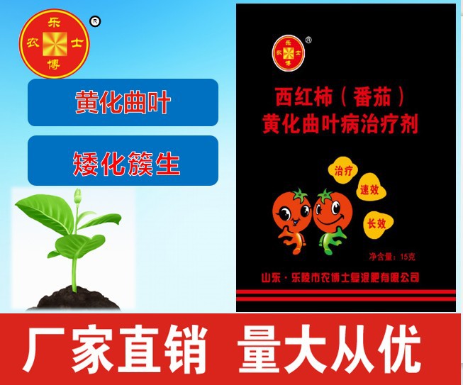 西红柿（番茄）黄化曲叶病 褪绿 ty 病毒病 矮化 簇生 厥叶 萎缩