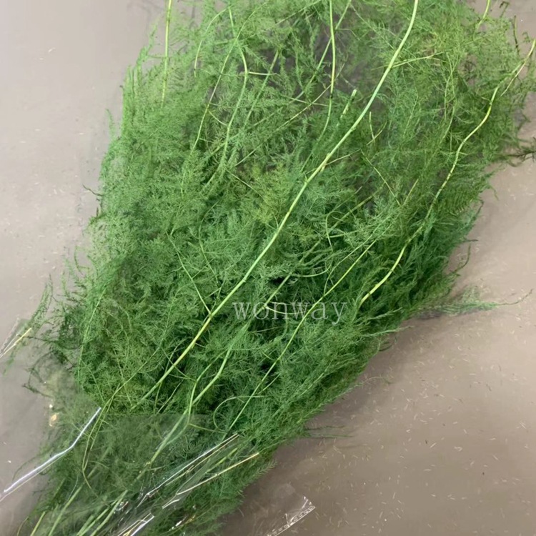 微信图片_20191112212613