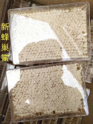 蜂巢蜜 批发零售 盒装蜂巢蜜 荆条蜂巢蜜 山花巢蜜 农家蜂巢蜜|ms