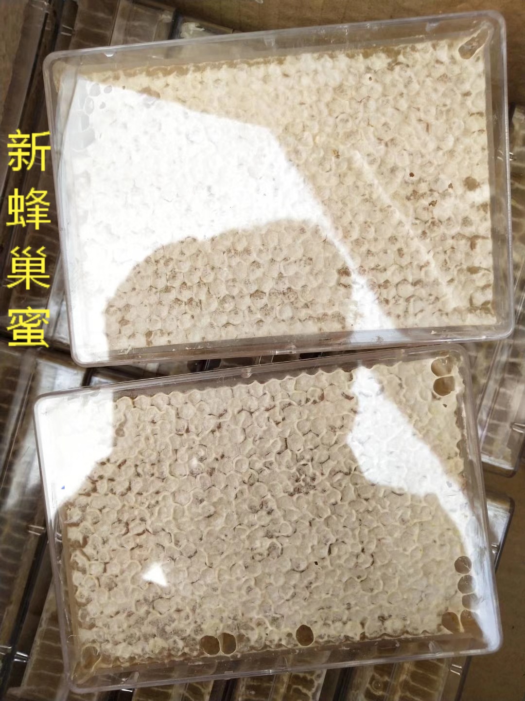 蜂巢蜜 批发零售 盒装蜂巢蜜 荆条蜂巢蜜 山花巢蜜 农家蜂巢蜜|ms