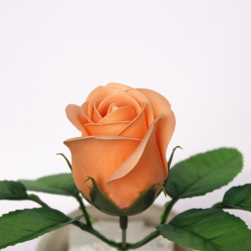 一键复制_20200227134219