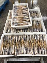 ���ʳƷ������ɽС�S�~���S���l���Ɵ�������S���~�����̼ұ؂�