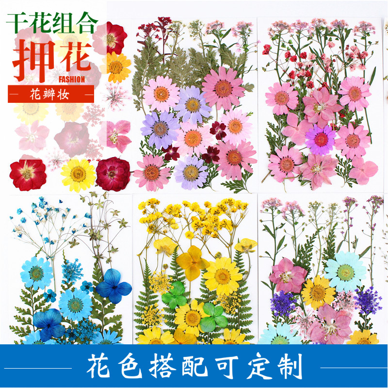 Dried Flower embossed Pressed Flower material bag leaf sticker real Flower real plant specimen Dried Flower embossed Pressed Flower material bag leaf sticker real Flower real plant specimen