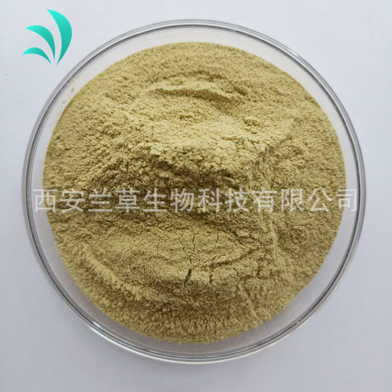 達米阿那提取物 50:1 達米阿那葉提取 達米阿那濃縮粉 現貨包郵價