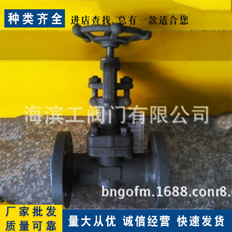 锻钢闸阀 锻钢低温波纹管闸阀 波纹管锻钢闸阀WZ41H