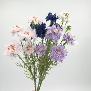 ���·������ﲨ˹�� ܇݆��݆�S�ոߙn�ٻ� ���ĵ��ߒ젝��ˇ�OӋ