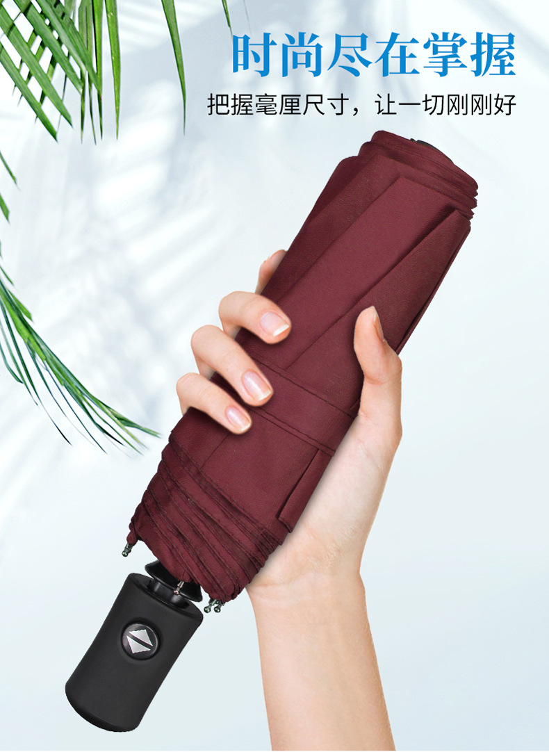 BW2+雨伞详情(黑胶)_08