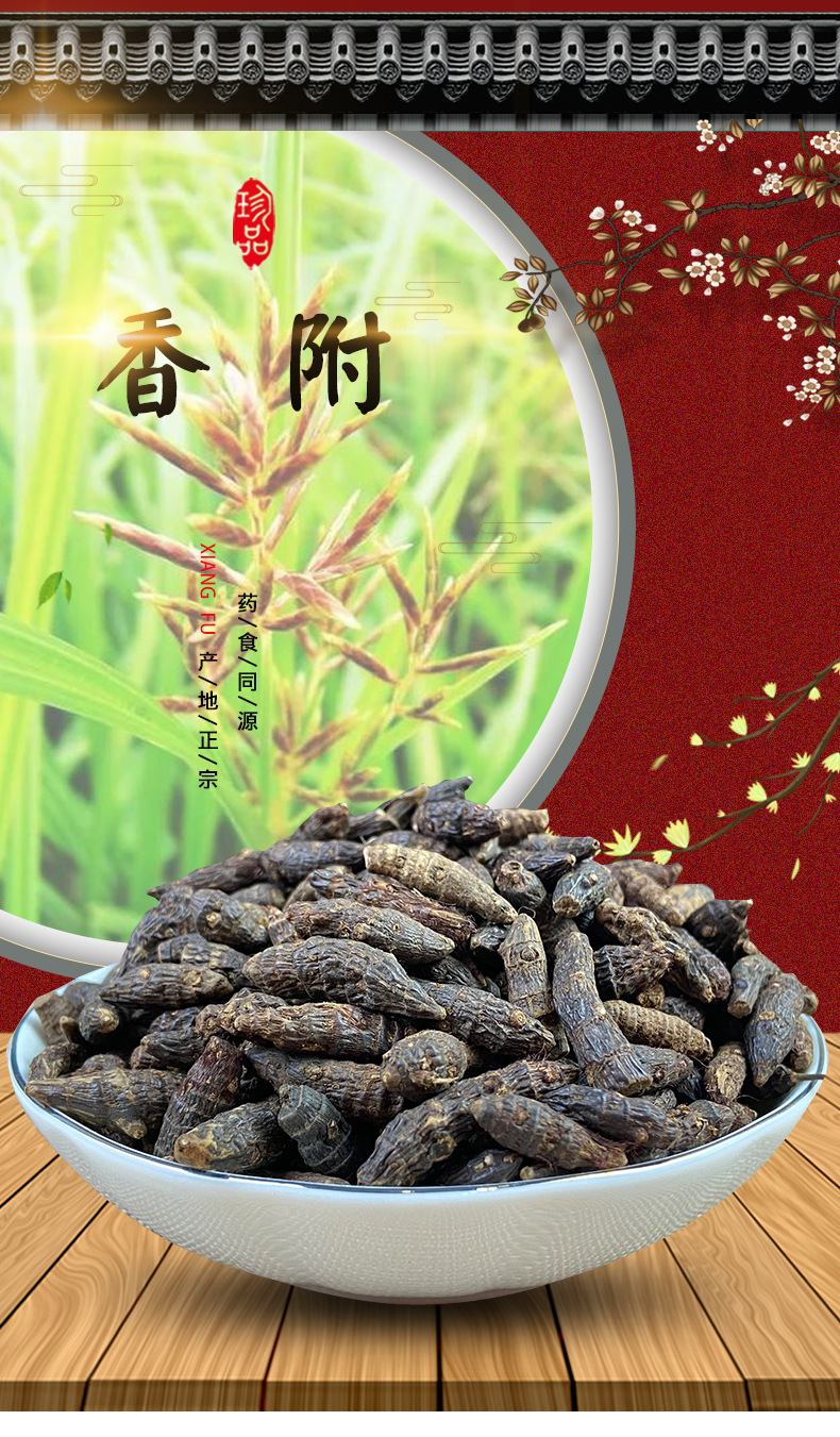 Xiang Fu Cyperus Rhizome Dried Herb 500g Traditional TCM Decoction Ingredient overview