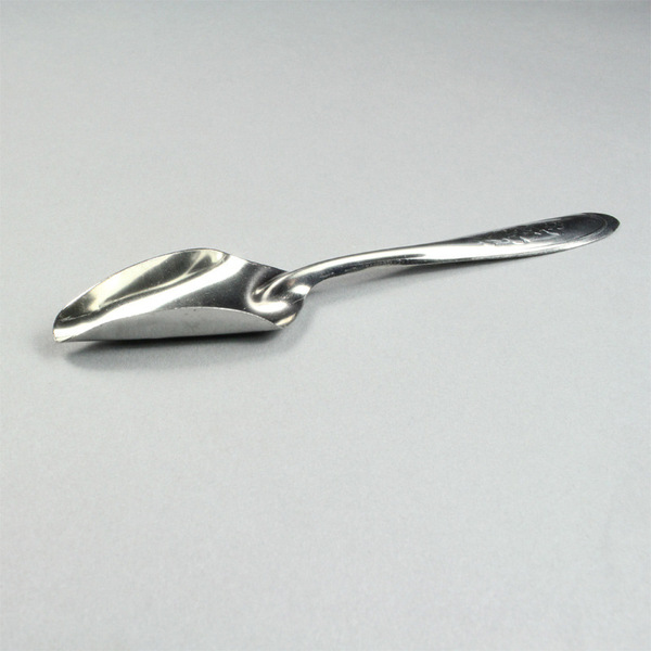 Parrot feed spoon