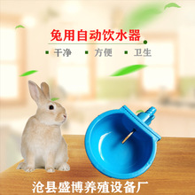 兔用自动饮水器 喝水碗 兔子自动供水配件 肉兔子喝水器