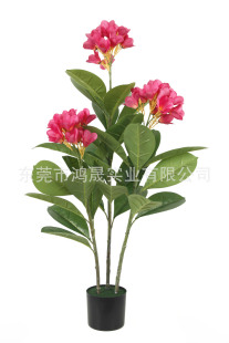 ��ط����u������ �¿�W�Lֲ��������������u������S��ֱ�N