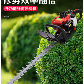 背负式汽油绿篱机价格 冬青修剪汽油绿篱机 单双刃汽油绿篱机图片