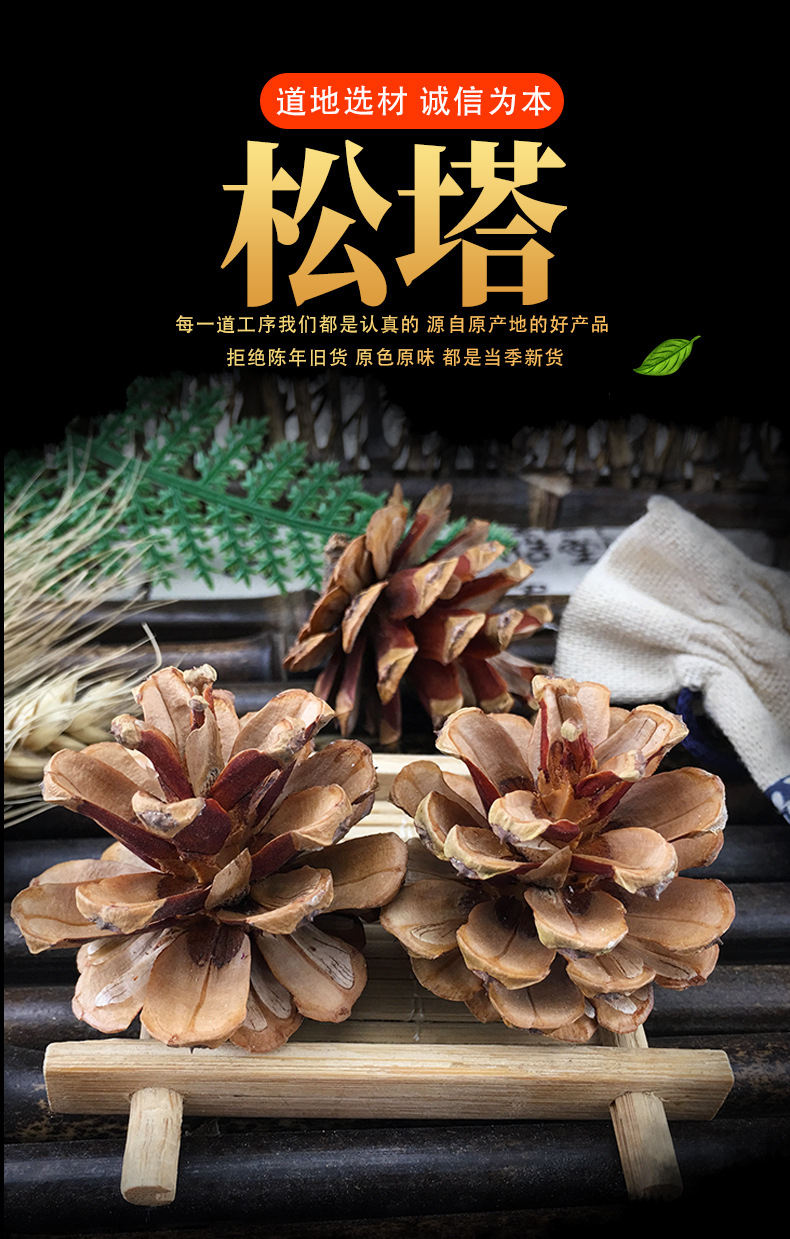 Dried Pine Cones Song Ta Loose Natural Cones 500g Sun Dried Decorative Craft and Herbal Use key features
