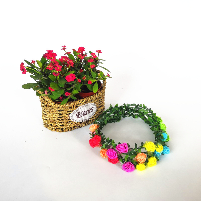 Las pequeñas actividades de microempresas empujan el código de escaneo para enviar regalos debajo de la línea roja en línea, regalos prácticos, pequeños drenadores, artefactos creativos