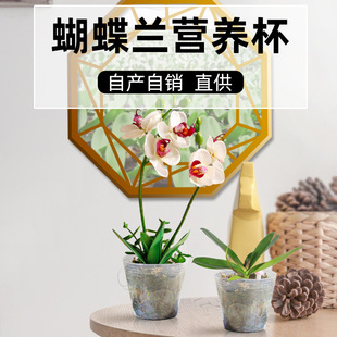 �I�B�� ������ ����һ���Ը��ٹ������������Nֲ����I�B����̖