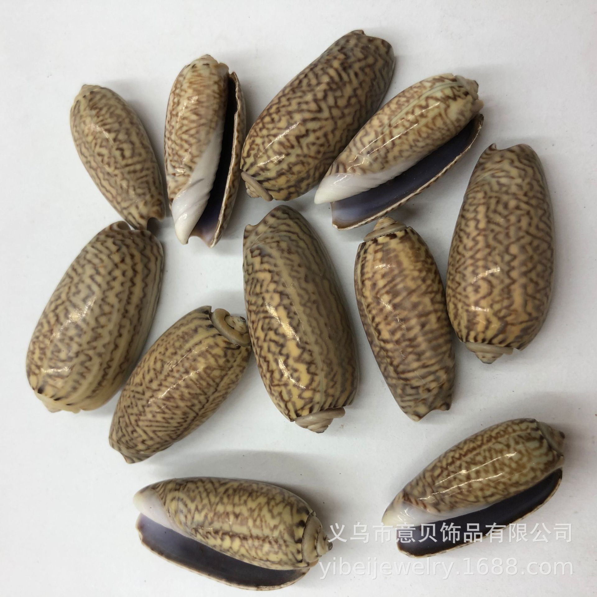 F87BB6BADD6C4DD5FFC8C49068C3EA