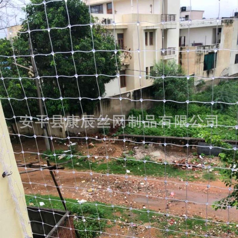 防鸟网-16.jpg