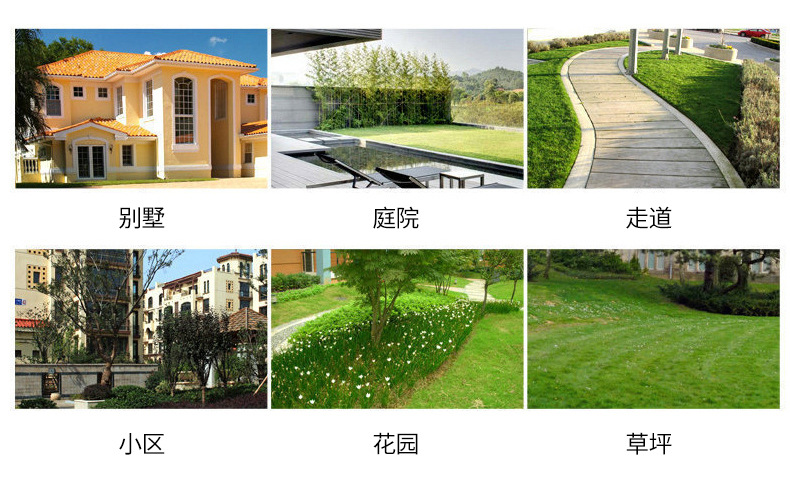 ------AS10A1-Circular Solar Fountain Pump-_19