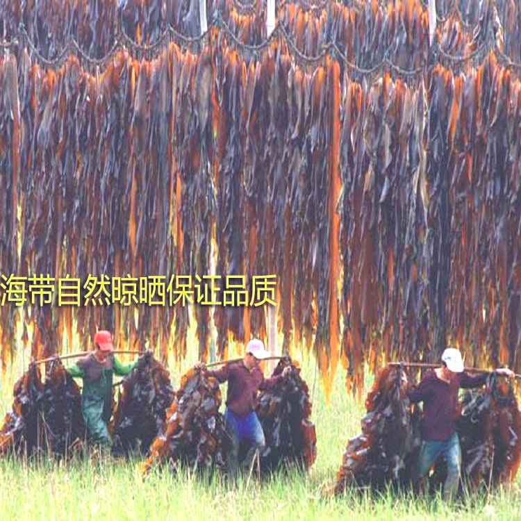 O1CN01uOrGPt27DxfbI38MG_!!1090