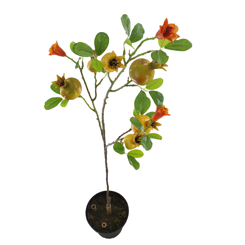 XRG-026 石榴果3叉枝1.03米 (3).jpg