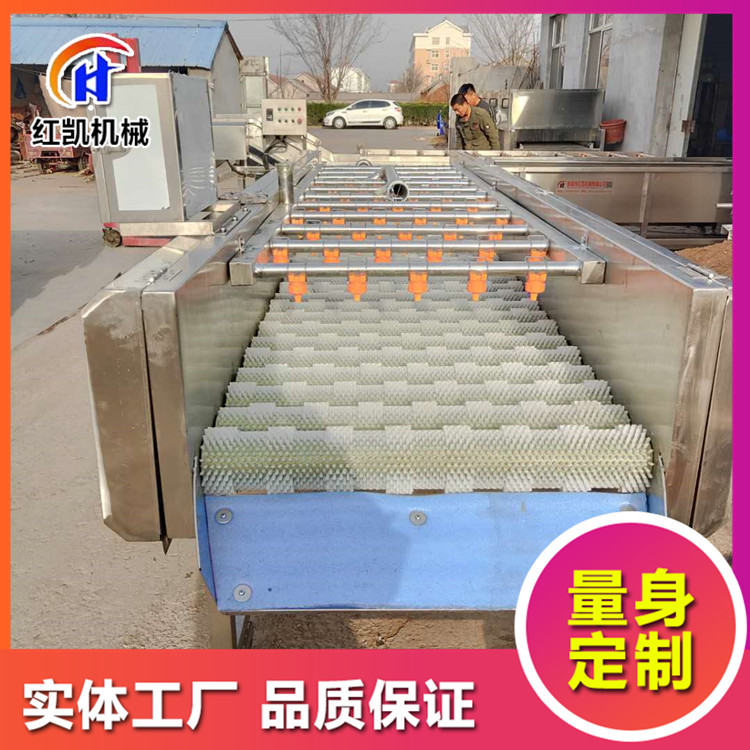 全自动柑橘清洗机 甜橙柠檬毛刷清洗机 柑橘柠檬清洗抛光机设备