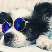 狗狗猫咪宠物眼镜 创意潮流玩具太阳镜猫咪墨镜拍照眼镜