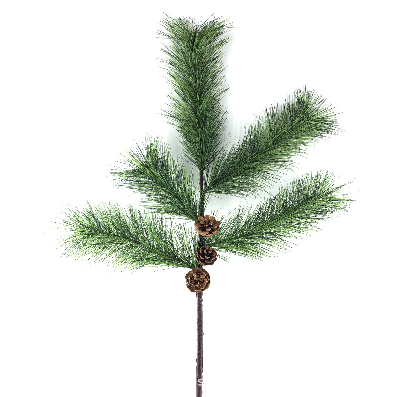 XRB-237 238 马尾松5头1米2.jpg