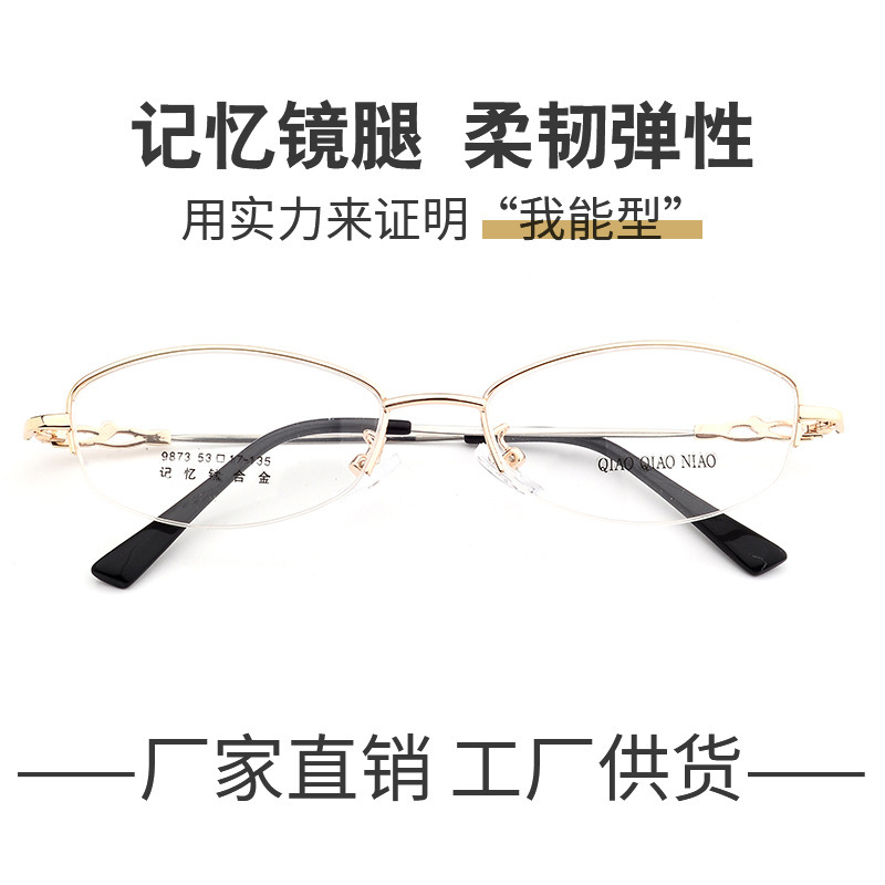 9873 Factory Direct Supply of Memory Titanium Alloy Eyeglass Frames with Crafty Metal Legs, Retro Alloy Frames