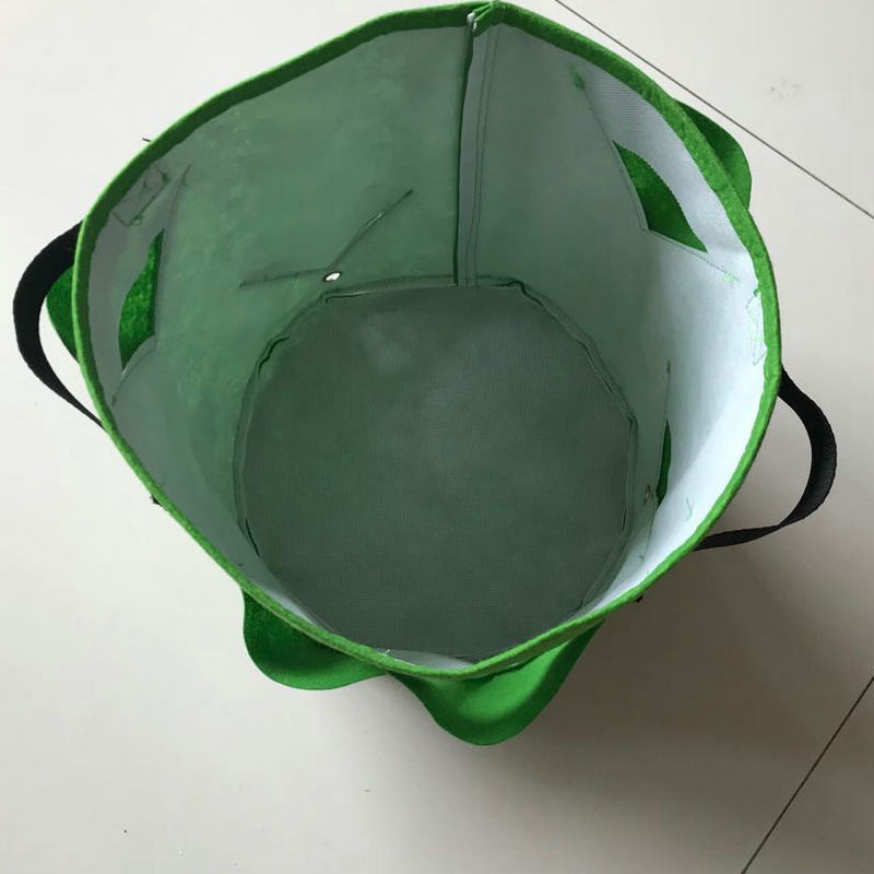 4458e4c85fd8b6f69b2c3b1506e557