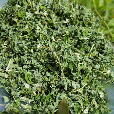 自然晾曬大興安嶺幹貨野生黃芪葉茶花草北芪500克包郵