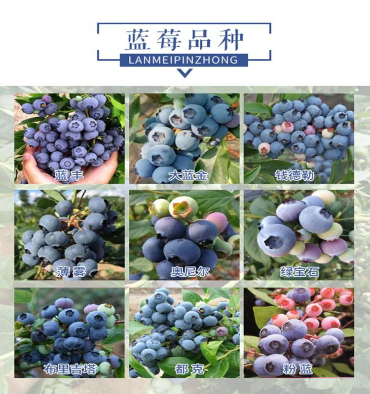 3d104ff365f903a347ae2ddc60ff0d