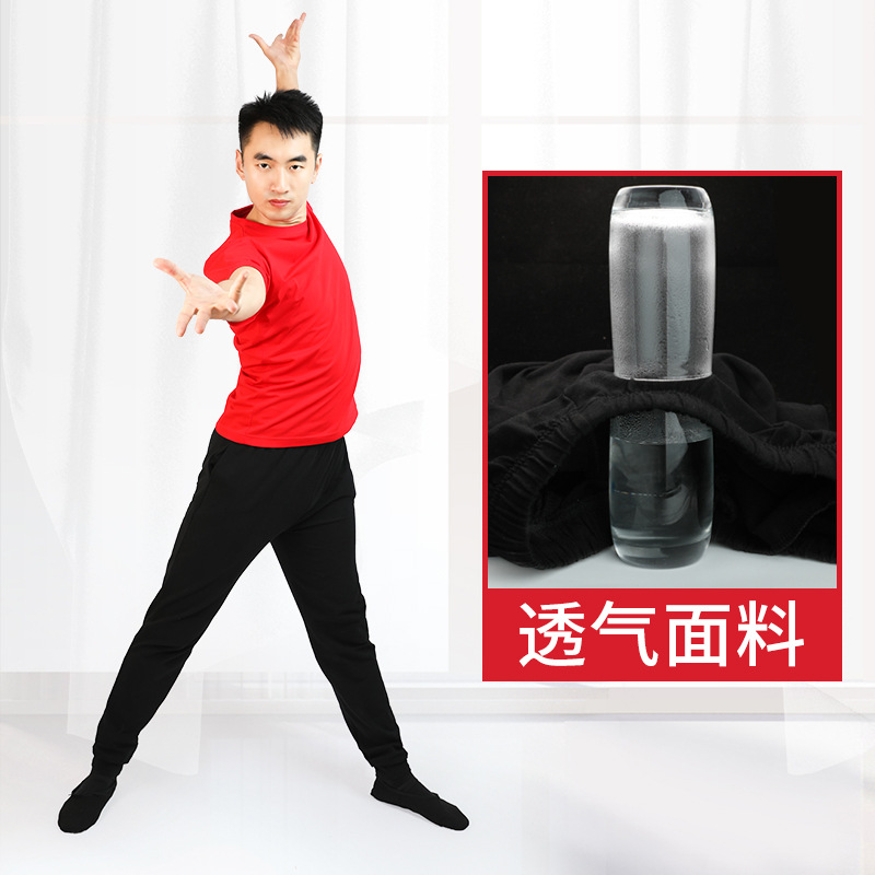 Adultos práctica de la danza ropa de los hombres danza China clásica moderna superior maestro modal forma danza pantalones traje