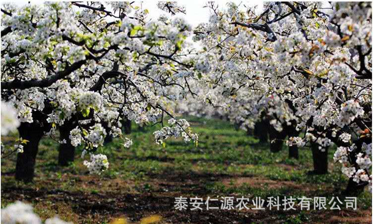 cfaaafeb9869b8ba28ec2d006ef321