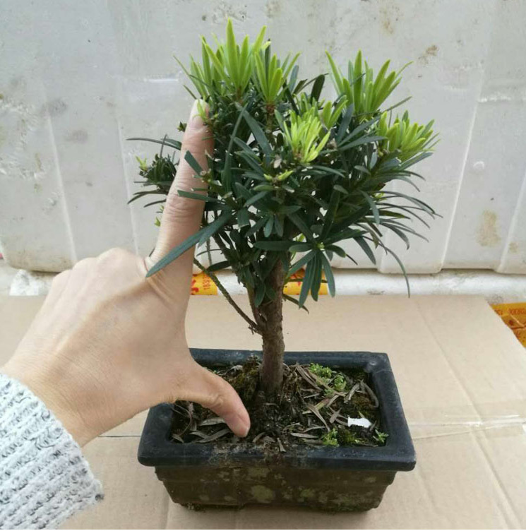 微信图片_20200511162421