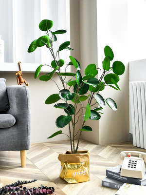 北欧家居仿真落地盆栽钱多多金钱兜圆叶植物盆景招财家居装饰摆件|ms