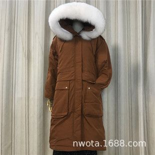 �n����ë�I��q��Ů���L���¿�b��a�����Bñ�^ϥ�����Ӻ�����