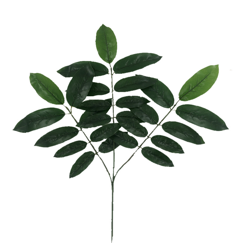 XRB-142 核桃枝三叉平面