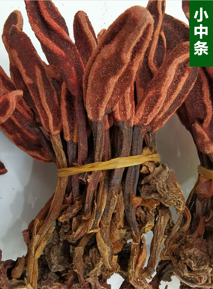 云南回春草 500g 顶天柱 不老草 草苁蓉泡酒料 中药产地直发